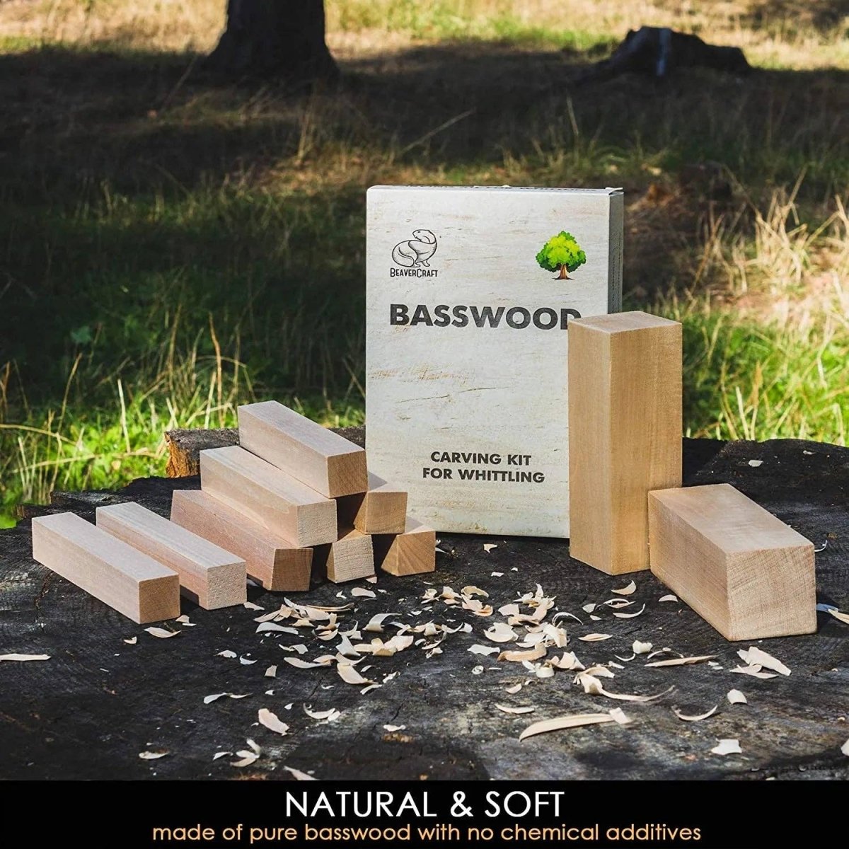 BeaverCraft - BW10 - Set of Basswood Carving Blocks 10 pcs - The Merri Artist - merriartist.com