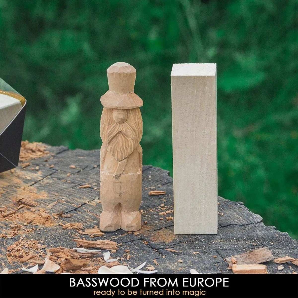 BeaverCraft - BW18 - Set of Basswood Carving Blocks 18pcs - The Merri Artist - merriartist.com