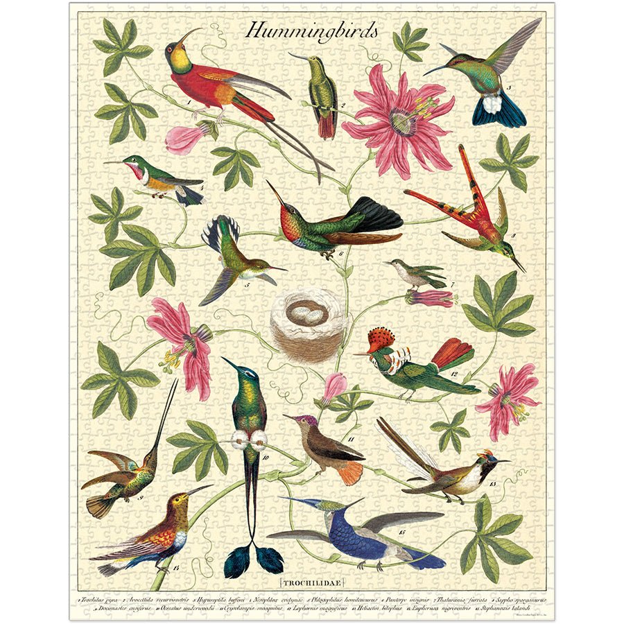 Cavallini & Co. Vintage Inspired 1000 Piece Puzzle - Hummingbirds - The Merri Artist - merriartist.com
