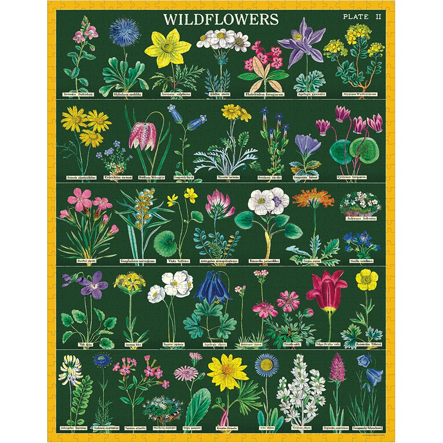 Cavallini & Co. Vintage Inspired 1000 Piece Puzzle - Wildflowers 2 - The Merri Artist - merriartist.com