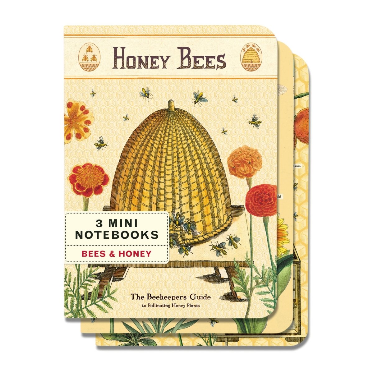 Cavallini & Co. Vintage Inspired Mini Notebook - 4 x 5.5 inch 96 pages - Set of 3 - Bees & Honey - The Merri Artist - merriartist.com