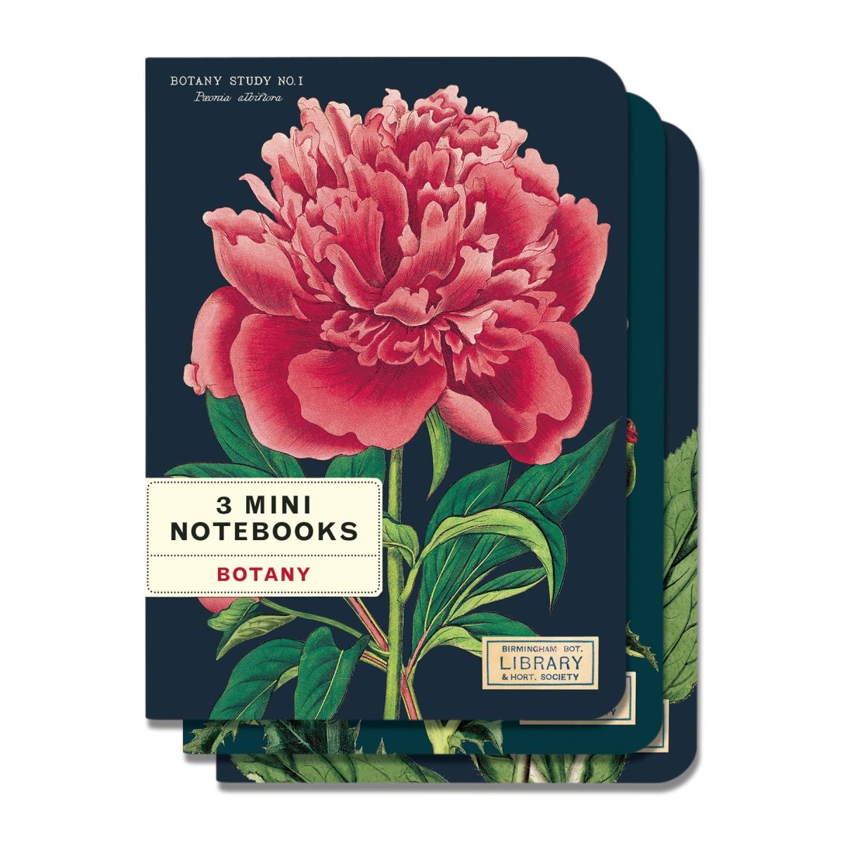 Cavallini & Co. Vintage Inspired Mini Notebook - 4 x 5.5 inch 96 pages - Set of 3 - Botany - The Merri Artist - merriartist.com