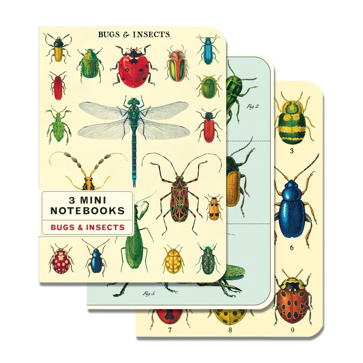 Cavallini & Co. Vintage Inspired Mini Notebook - 4 x 5.5 inch 96 pages - Set of 3 - Bugs & Insects - The Merri Artist - merriartist.com