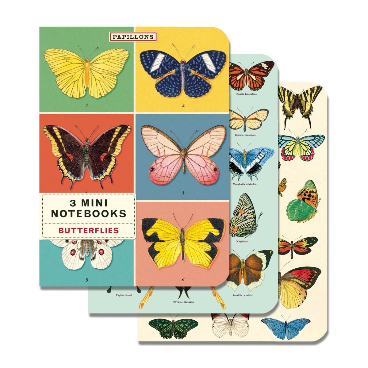 Cavallini & Co. Vintage Inspired Mini Notebook - 4 x 5.5 inch 96 pages - Set of 3 - Butterflies - The Merri Artist - merriartist.com