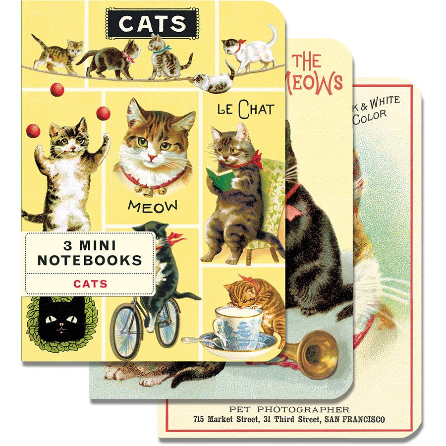 Cavallini & Co. Vintage Inspired Mini Notebook - 4 x 5.5 inch 96 pages - Set of 3 - Cats - The Merri Artist - merriartist.com