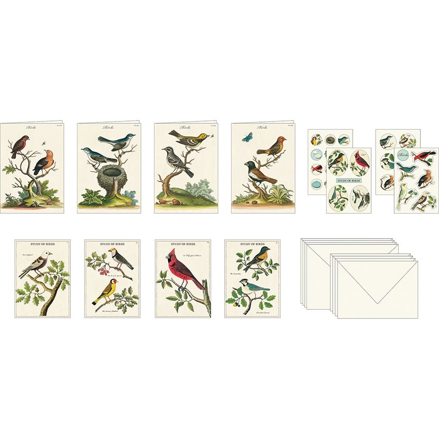 Cavallini & Co. Vintage Inspired Stationary Set (8 folded cards, 8 flat cards, 16 envelopes & 4 sheets of stickers) - Birds - The Merri Artist - merriartist.com