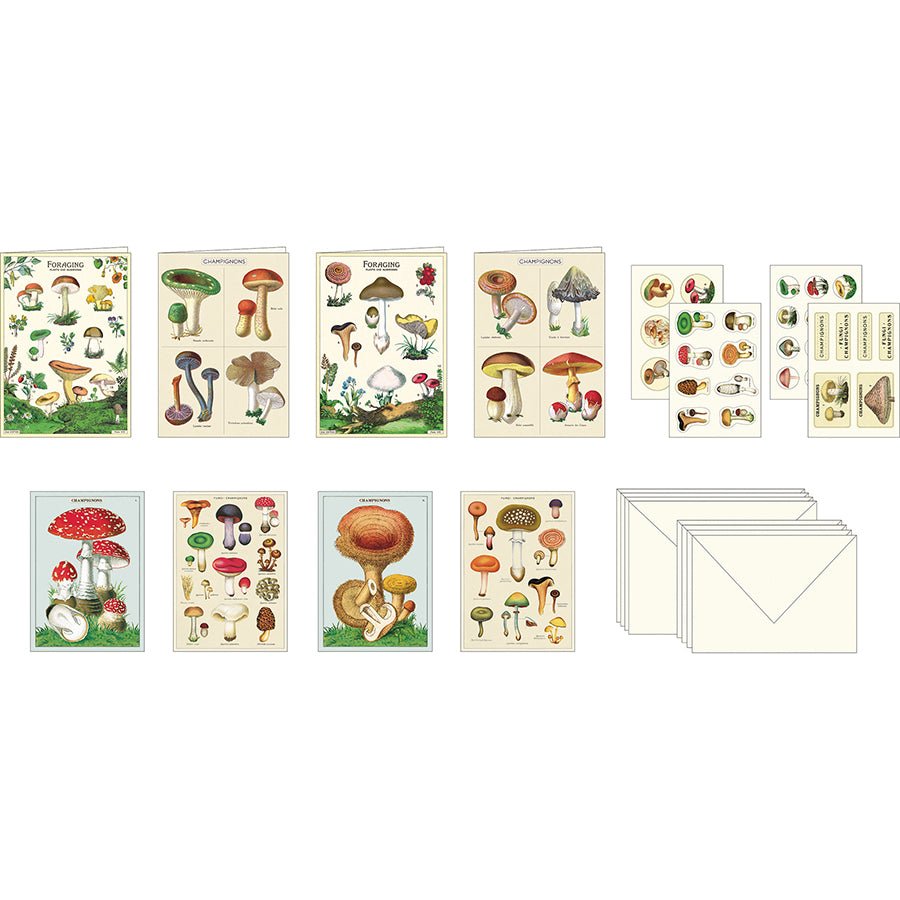 Cavallini & Co. Vintage Inspired Stationary Set (8 folded cards, 8 flat cards, 16 envelopes & 4 sheets of stickers) - Mushrooms - The Merri Artist - merriartist.com