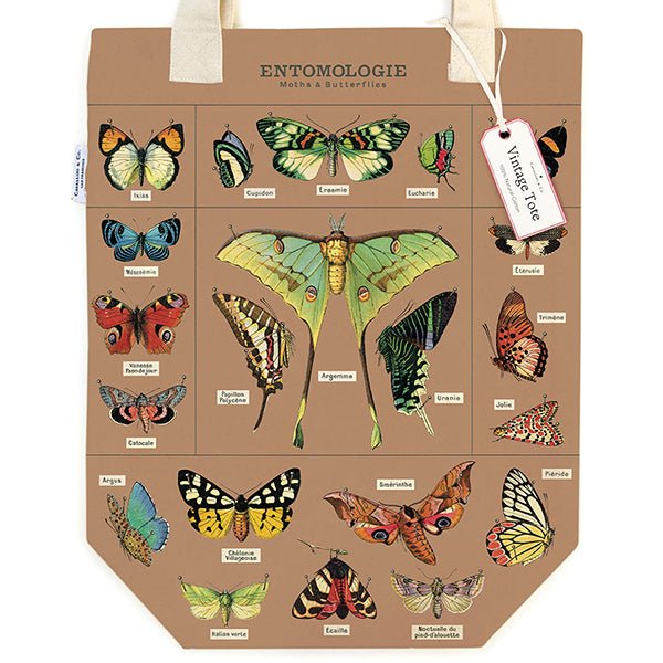 Cavallini & Co. Vintage Inspired Tote Bag - 13" x 16" (33 cm x 40.5 cm) - Entomology - The Merri Artist - merriartist.com