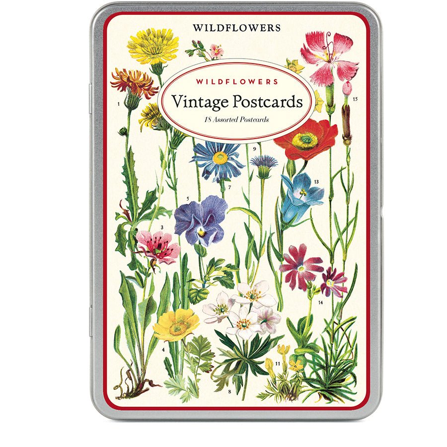 Cavallini Vintage Inspired Postcards - 18 assorted 3.75" x 5.5" Postcards in Metal Tin - Wildflowers - The Merri Artist - merriartist.com