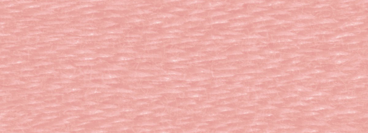 DMC 6 - Strand Cotton Embroidery Floss 8.7yd - 152 Medium Light Shell Pink - The Merri Artist - merriartist.com