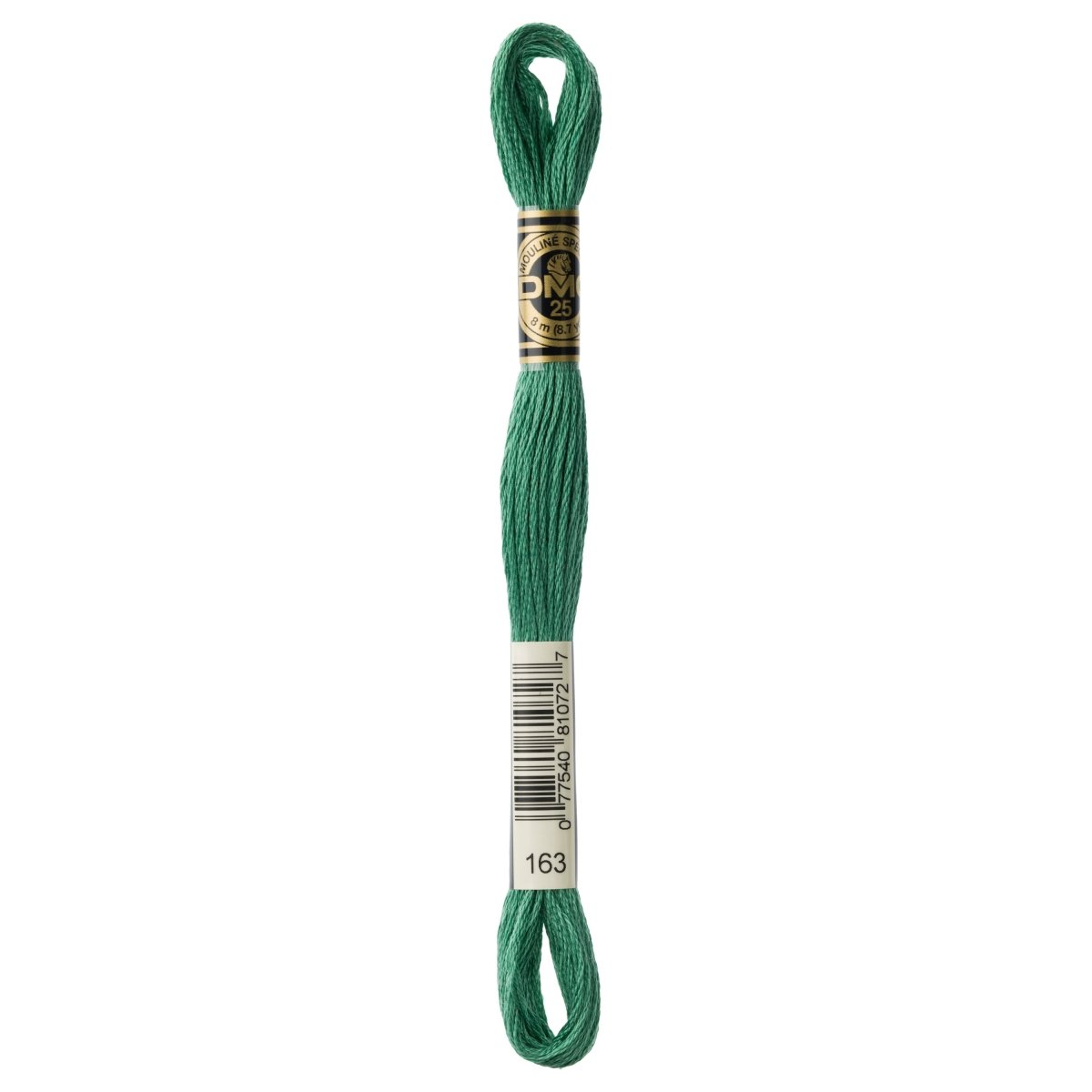 DMC 6 - Strand Cotton Embroidery Floss 8.7yd - 163 Med. Celadon Green - Between 381 - The Merri Artist - merriartist.com