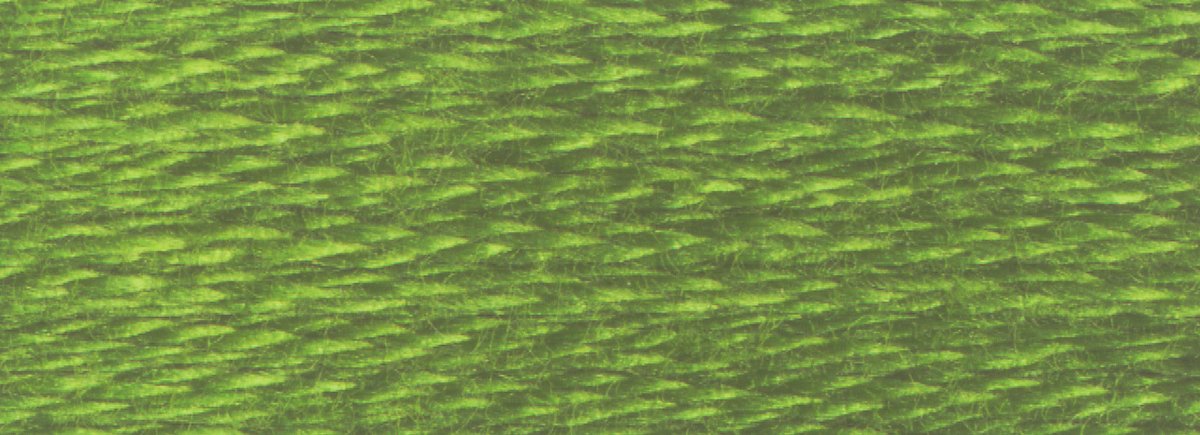 DMC 6 - Strand Cotton Embroidery Floss 8.7yd - 3346 Hunter Green - The Merri Artist - merriartist.com