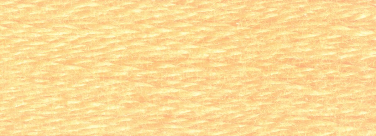 DMC 6 - Strand Cotton Embroidery Floss 8.7yd - 3855 Light Autumn Gold - The Merri Artist - merriartist.com