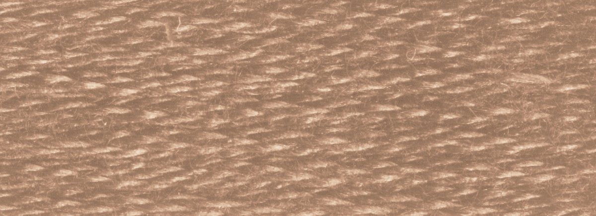 DMC 6 - Strand Cotton Embroidery Floss 8.7yd - 840 Medium Beige Brown - The Merri Artist - merriartist.com