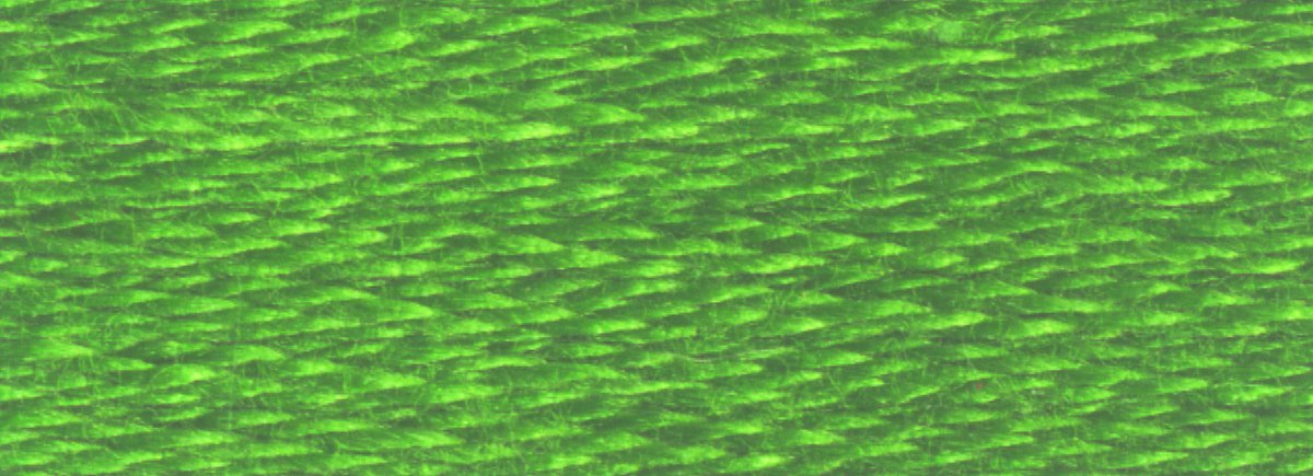 DMC 6 - Strand Cotton Embroidery Floss 8.7yd - 905 Dark Parrot Green - The Merri Artist - merriartist.com