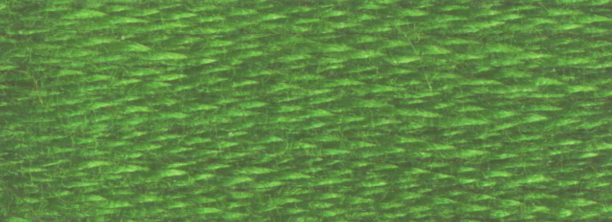 DMC 6 - Strand Cotton Embroidery Floss 8.7yd - 987 Dark Forest Green - The Merri Artist - merriartist.com