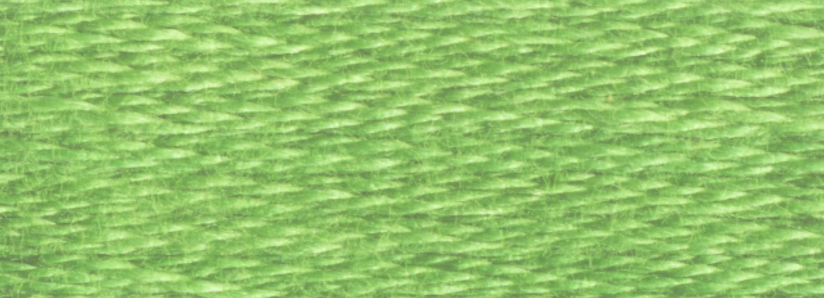 DMC 6 - Strand Cotton Embroidery Floss 8.7yd - 989 Forest Green - The Merri Artist - merriartist.com