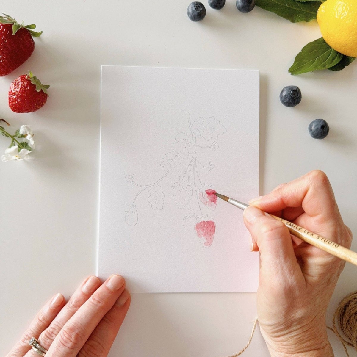 emily lex studio - Fruit paintable notecards - The Merri Artist - merriartist.com