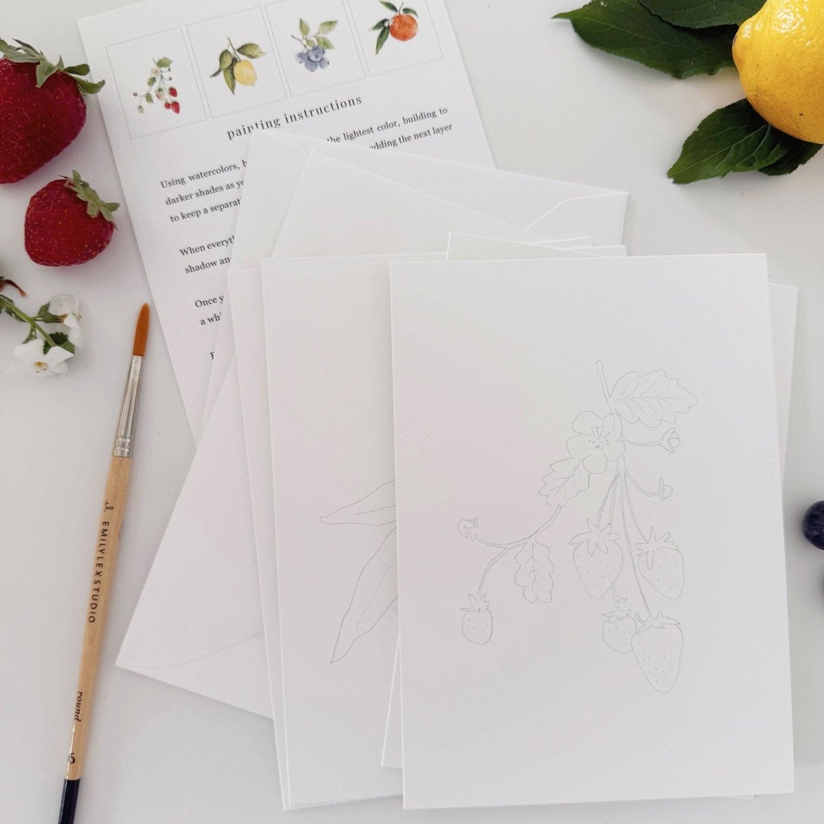 emily lex studio - Fruit paintable notecards - The Merri Artist - merriartist.com