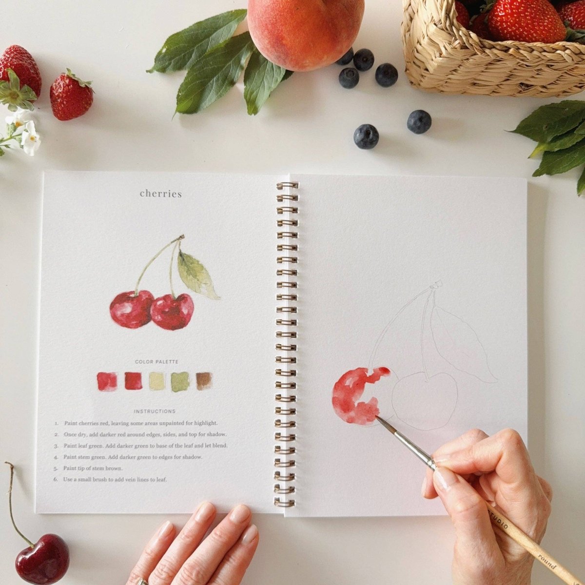 emily lex studio - Fruit watercolor workbook - The Merri Artist - merriartist.com