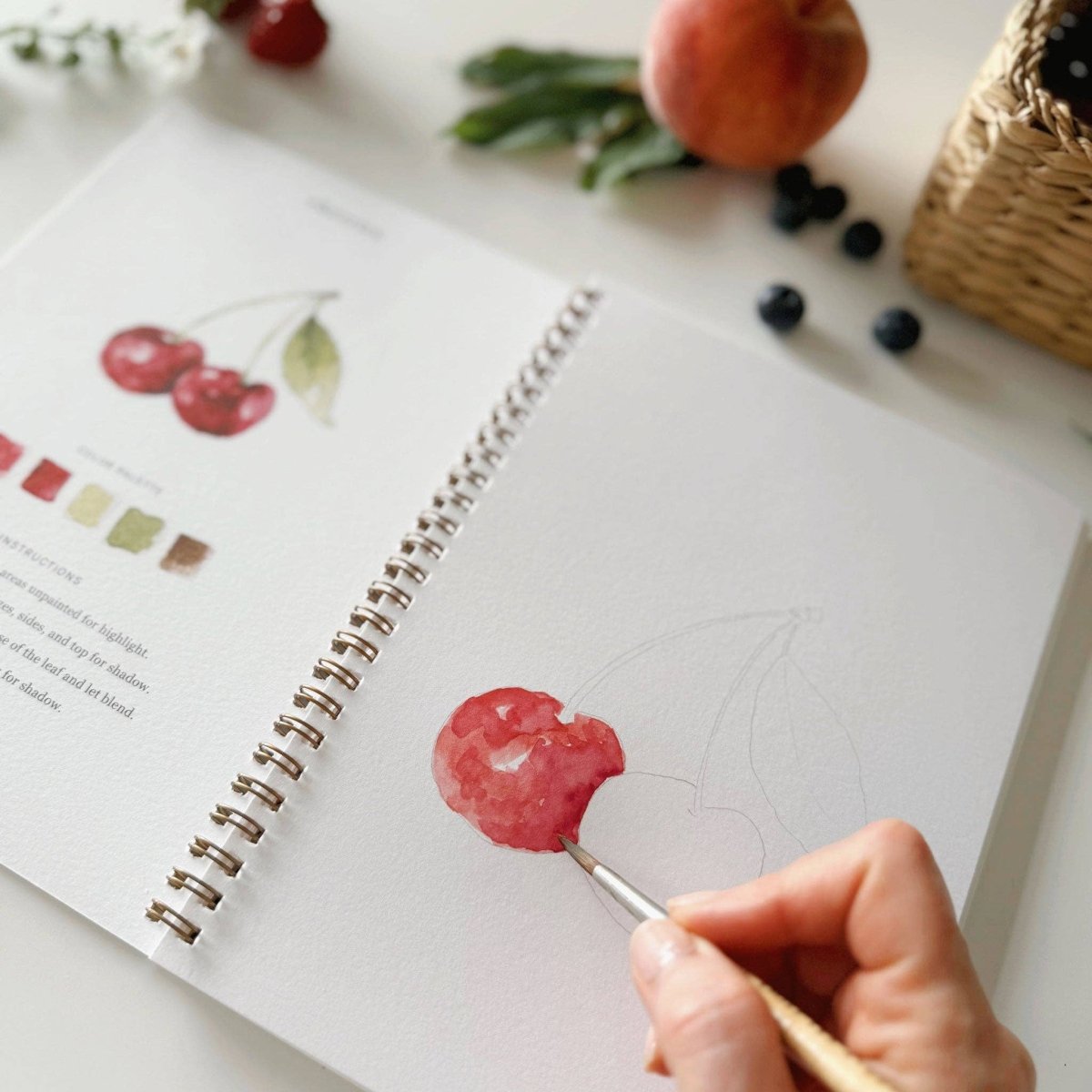 emily lex studio - Fruit watercolor workbook - The Merri Artist - merriartist.com