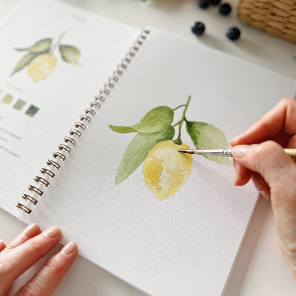 emily lex studio - Fruit watercolor workbook - The Merri Artist - merriartist.com