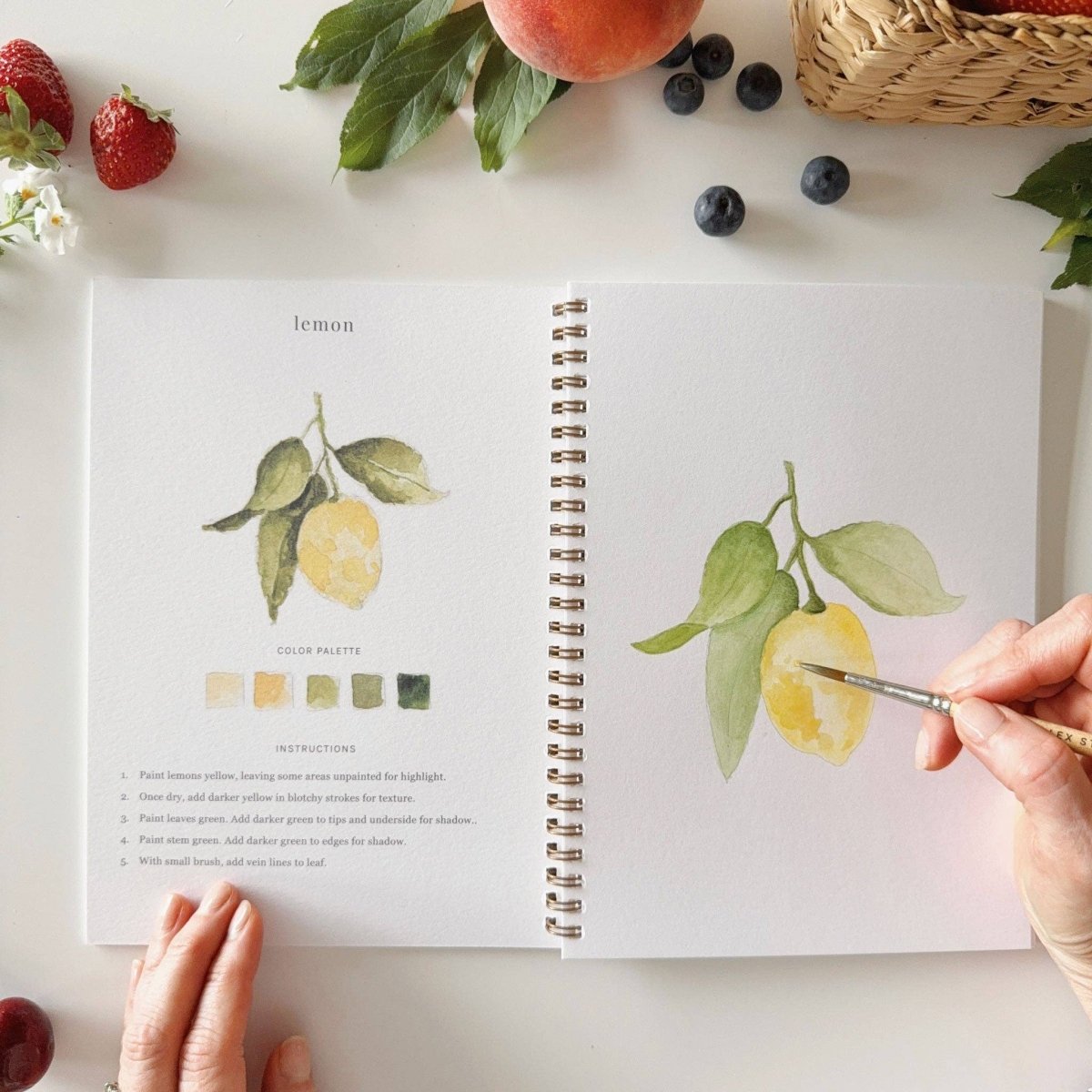 emily lex studio - Fruit watercolor workbook - The Merri Artist - merriartist.com