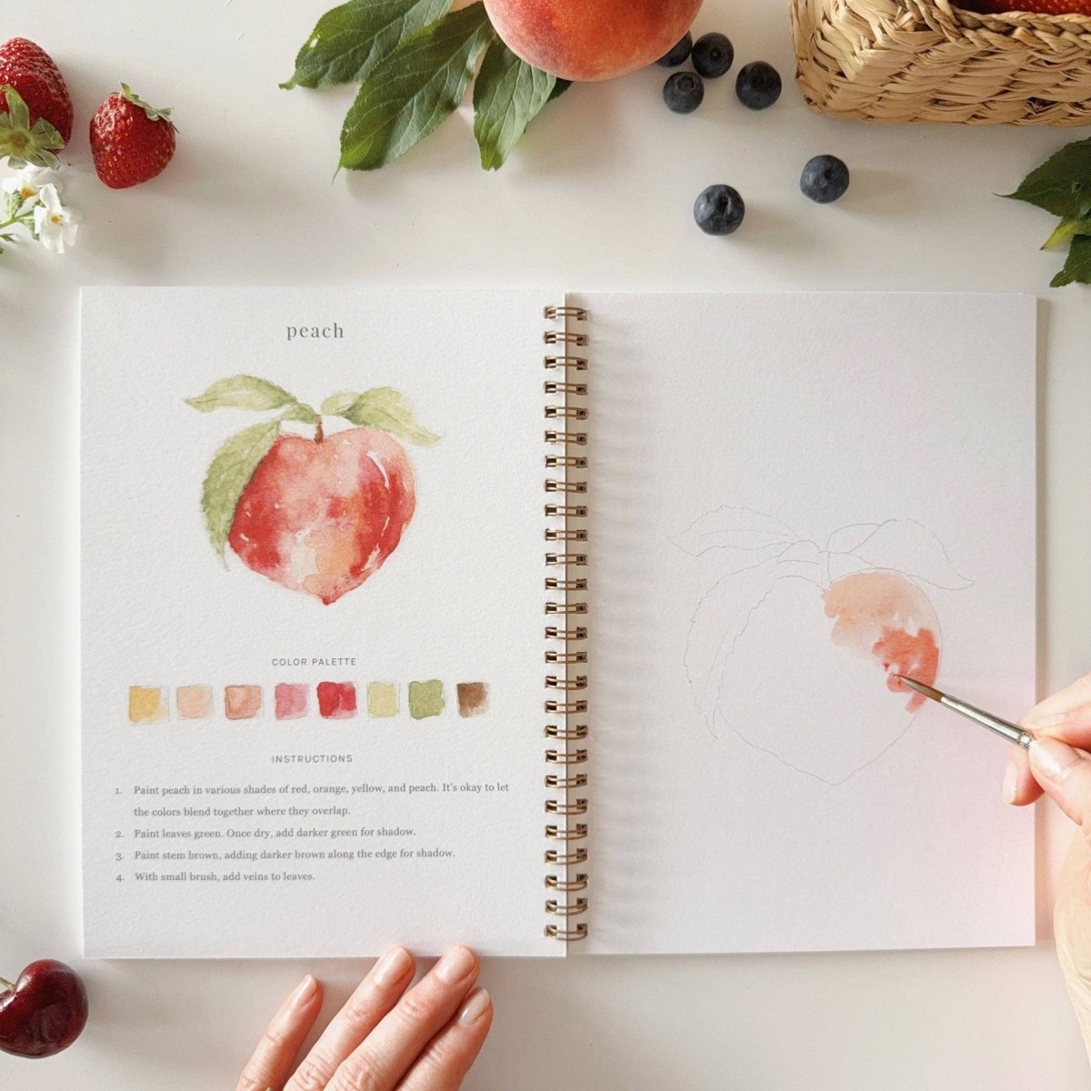 emily lex studio - Fruit watercolor workbook - The Merri Artist - merriartist.com