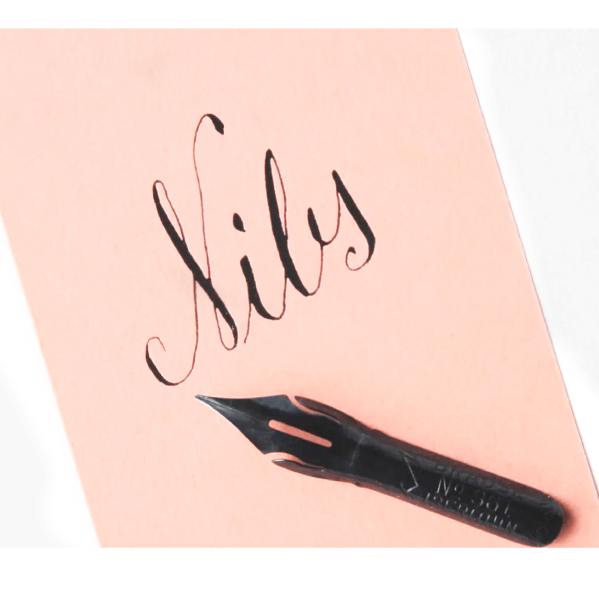 Exaclair - Brause Calligraphy Nib 361 Steno/Blue Pumpkin - Box of 3 - The Merri Artist - merriartist.com