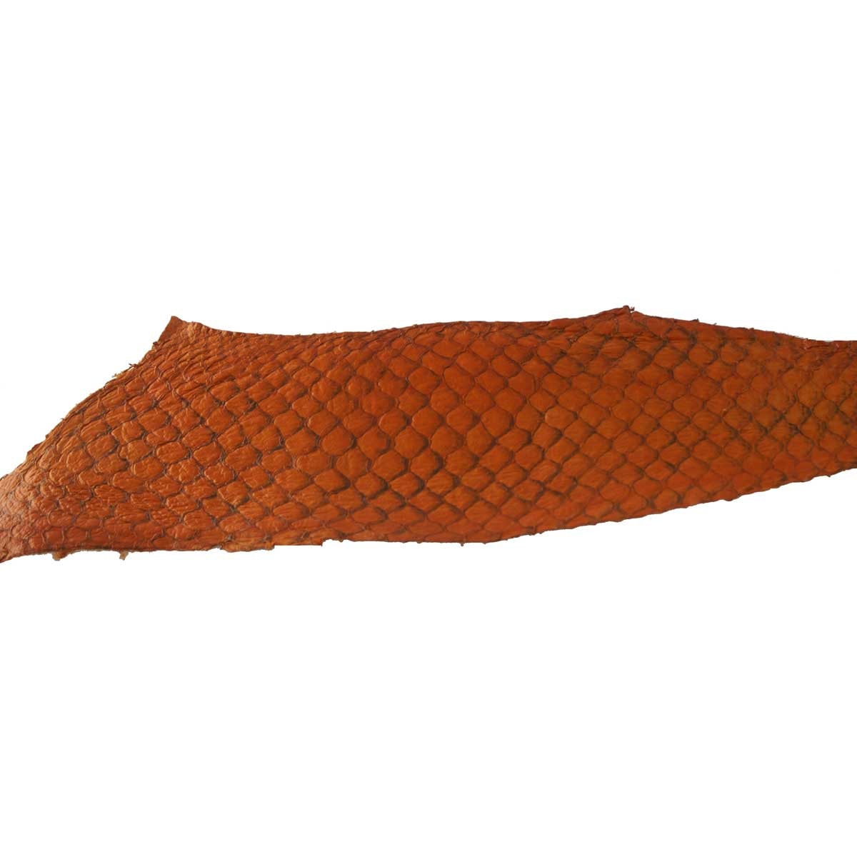 Fish Leather - Glossy Citrus - Approx 9" X 2.5" - The Merri Artist - merriartist.com