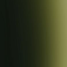 Medea NuWorlds Paint - Vile Green 1 oz - The Merri Artist - merriartist.com