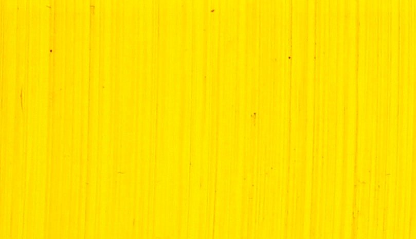 Michael Harding Oil Paint - 109 Bright Yellow Lake 40ml - The Merri Artist - merriartist.com