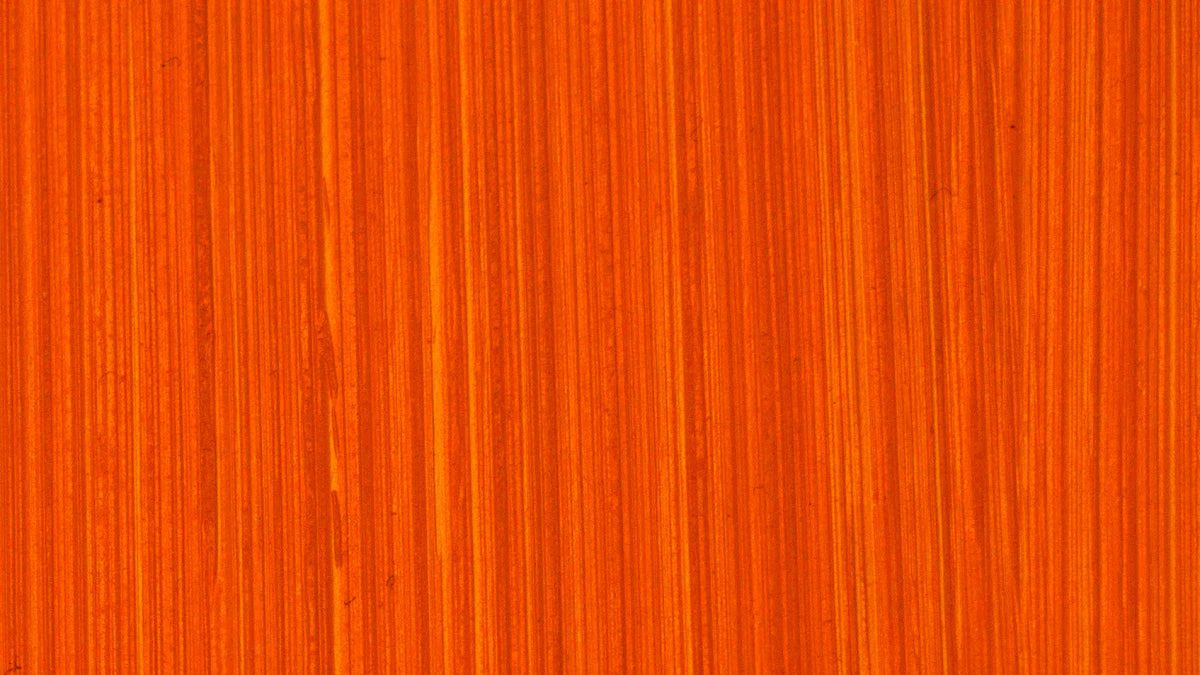 Michael Harding Oil Paint - 246 Brilliant Orange 40ml - The Merri Artist - merriartist.com