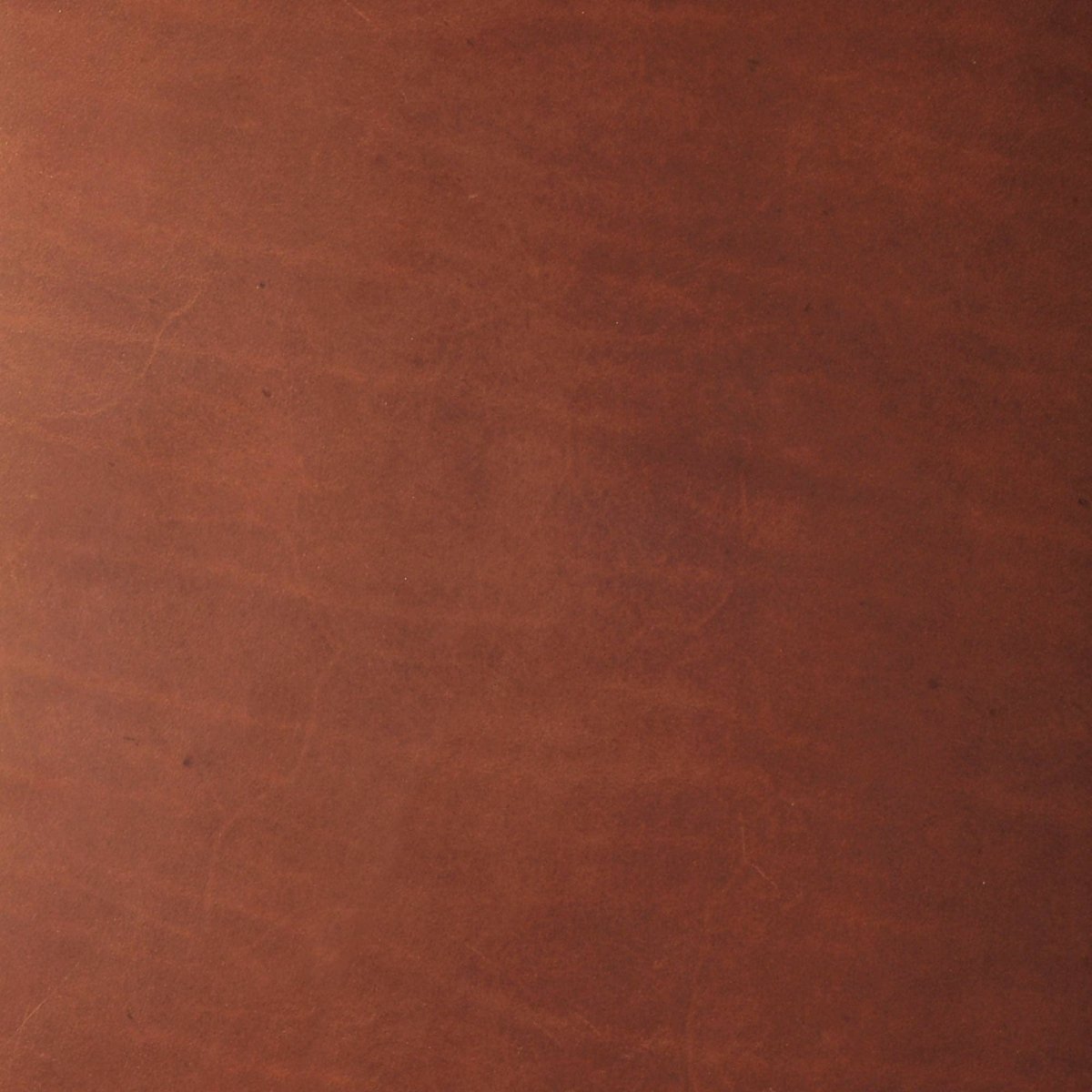 Realeather - Triumph Leather Trim, 9" x 3" - Rustic - The Merri Artist - merriartist.com