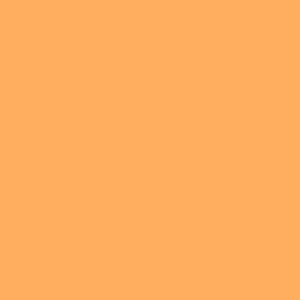 Alphanamel Lettering Enamel - 2.5 fl oz (147 ml) - Orange Sherbet - merriartist.com