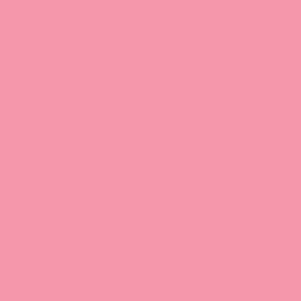 Alphanamel Lettering Enamel - 2.5 fl oz (147 ml) - Raspberry Sherbet - merriartist.com