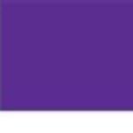 Amsterdam Standard Acrylic Paint 250ml Permanent Blue Violet - merriartist.com