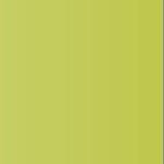 Caran d'Ache Luminance 6901 Colored Pencil - 015 Olive Yellow - merriartist.com