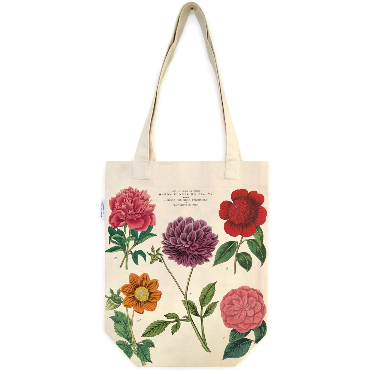 Cavallini Vintage Inspired Tote Bag - Botanica - merriartist.com
