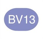 Copic Sketch Marker BV13 Hydrangea Blue - merriartist.com