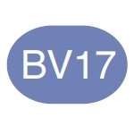 Copic Sketch Marker BV17 Deep Reddish Blue - merriartist.com