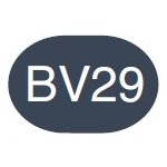 Copic Sketch Marker BV29 Slate - merriartist.com