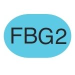 Copic Sketch Marker FBG2 Fluorescent Dull Blue Green - merriartist.com