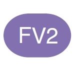 Copic Sketch Marker FV2 Fluorescent Dull Violet - merriartist.com