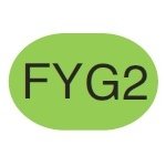 Copic Sketch Marker FYG2 Fluorescent Dull Yellow Green - merriartist.com