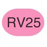 Copic Sketch Marker RV25 Dog Rose Flower - merriartist.com