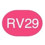Copic Sketch Marker RV29 Crimson - merriartist.com