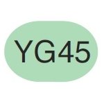 Copic Sketch Marker YG45 Cobalt Green - merriartist.com