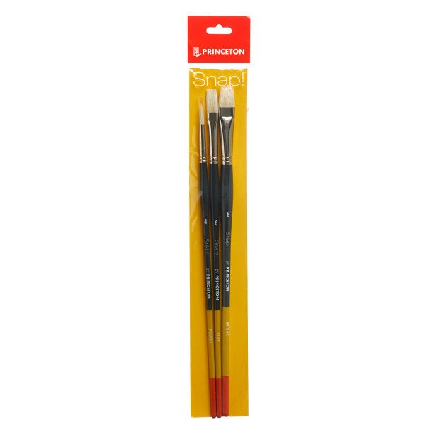 Princeton Snap Hog Bristle Long Handled Set #4 - merriartist.com