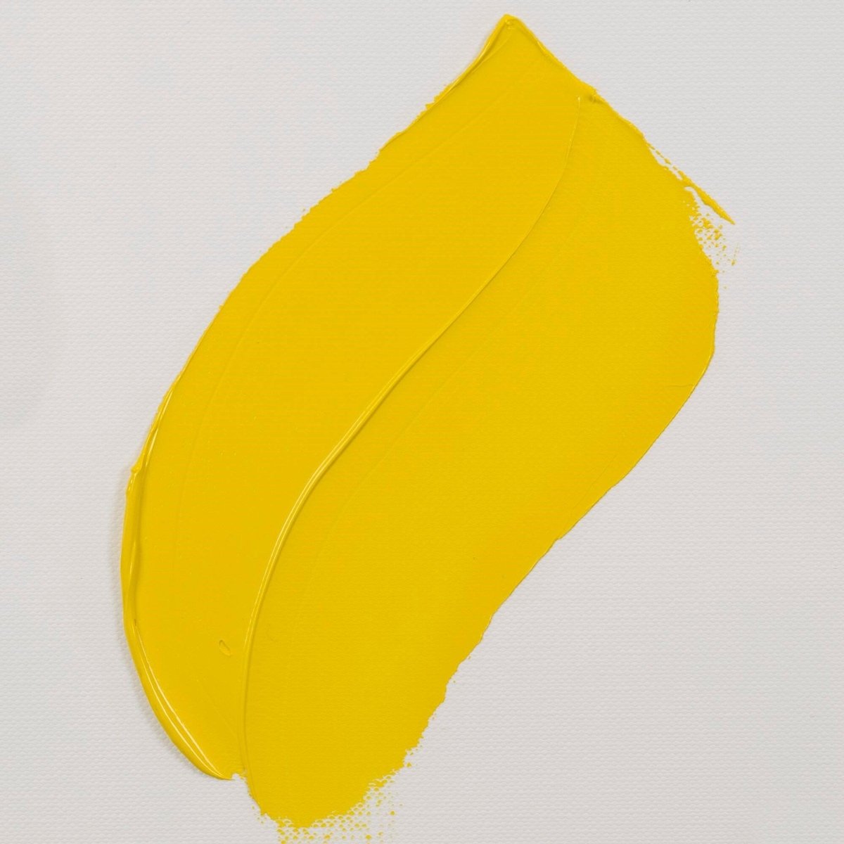 van Gogh Oil Paint 40 ml - Cadmium Yellow Light - merriartist.com